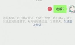 免费QQ群吃瓜爆料,吃瓜爆料背后的真相与内幕